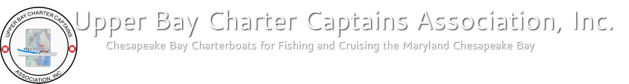 Upper Bay Charter Captains
